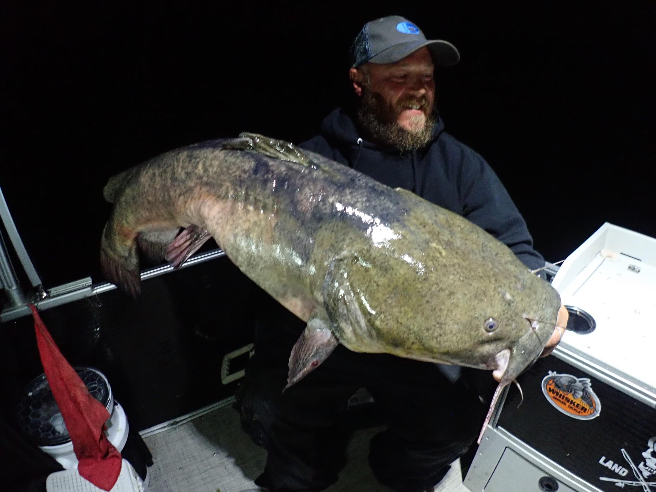 After Dark Trophy Catfish Trips in St. Joseph, Michigan