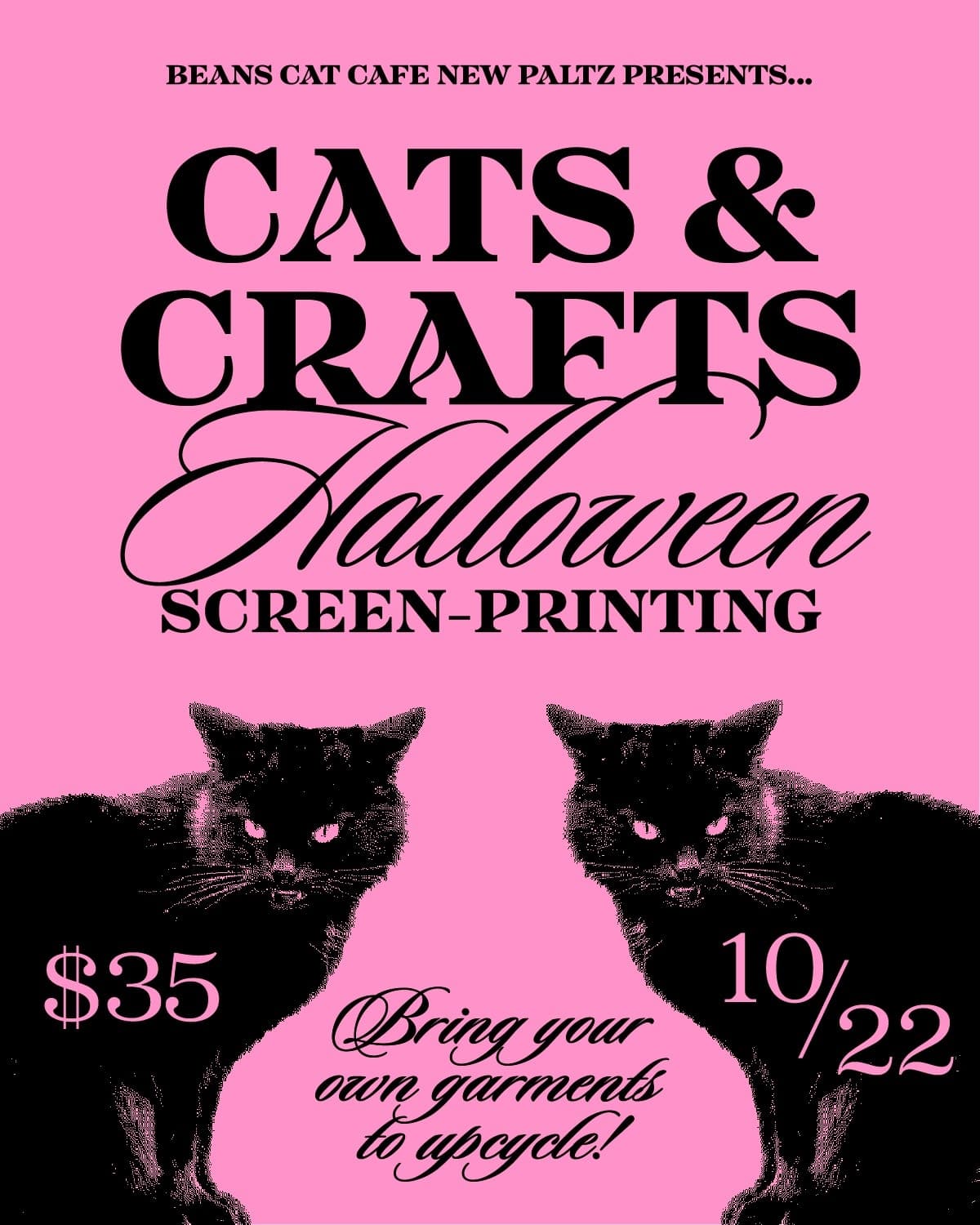 Arts & Crafts Business with Cats: Beans Cat Cafe