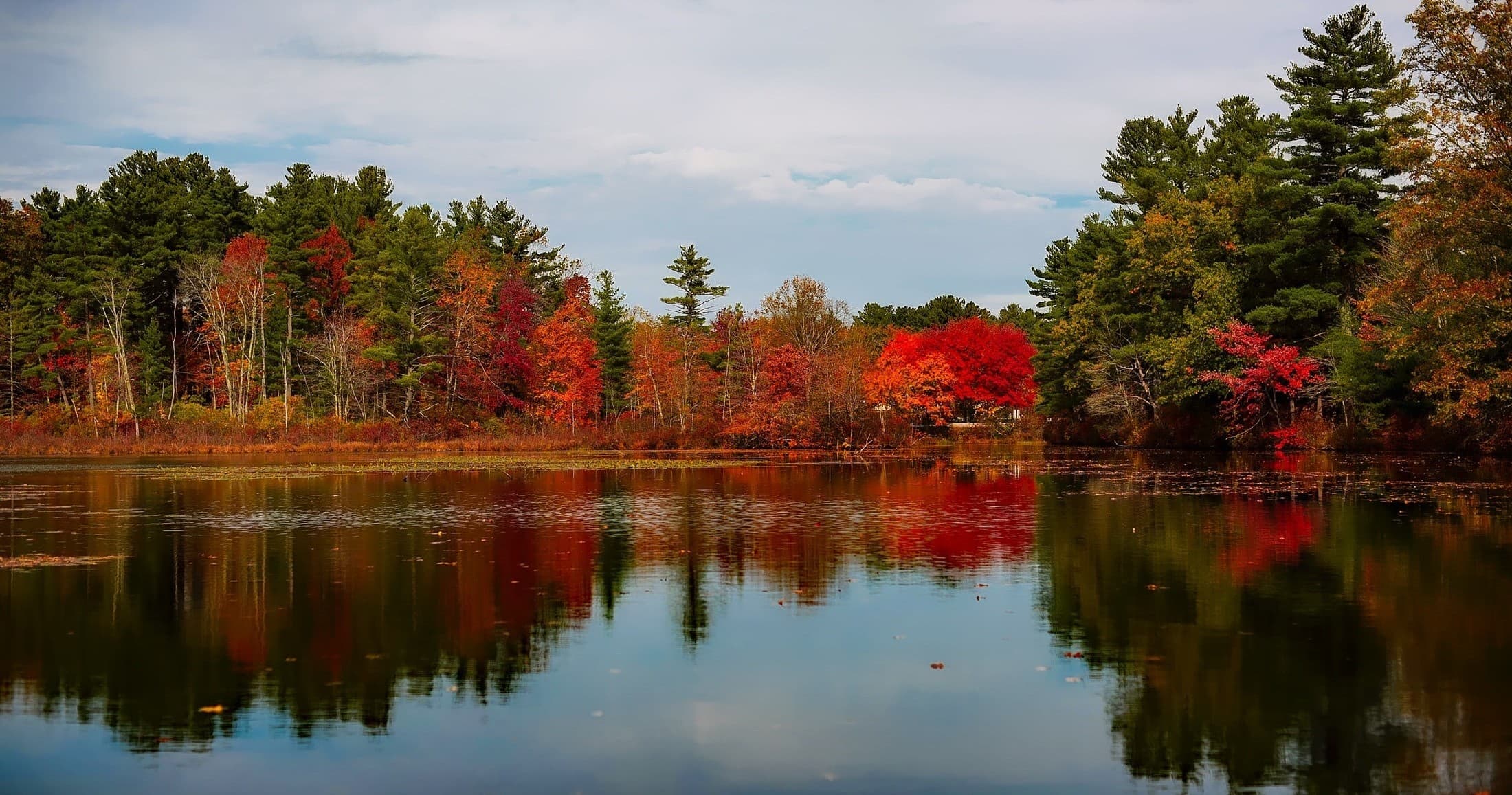 Autumn forest reflecting on calm lake at scenic waterfront