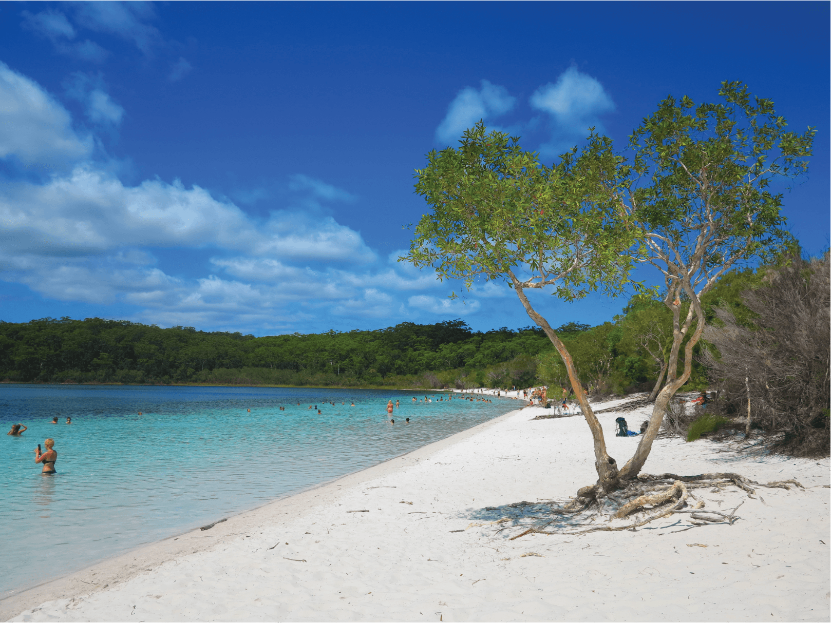 Land Adventures: Fraser Island Eco-Exploration with K'GARI