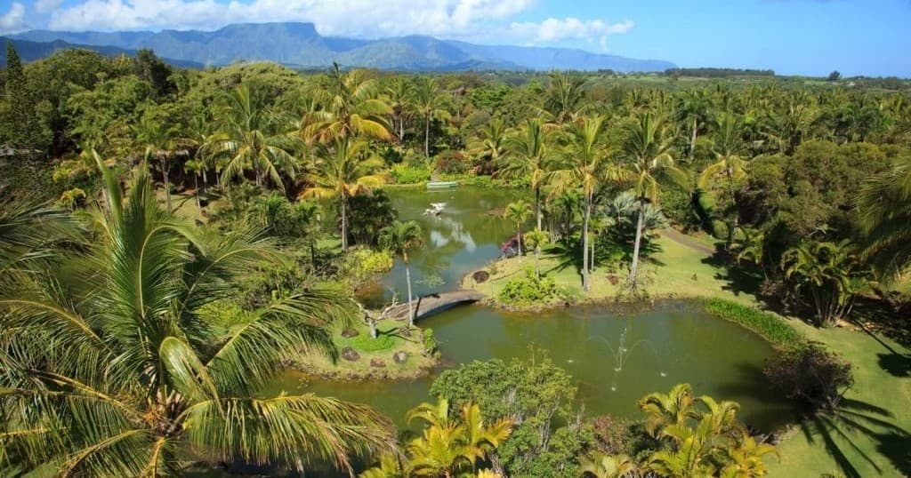Self-Guided Garden Walk at Na ‘Āina Kai Botanical Gardens, Kilauea