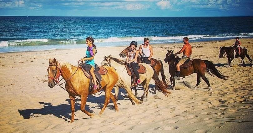 Group beach horseback tour along sunny Virginia shoreline