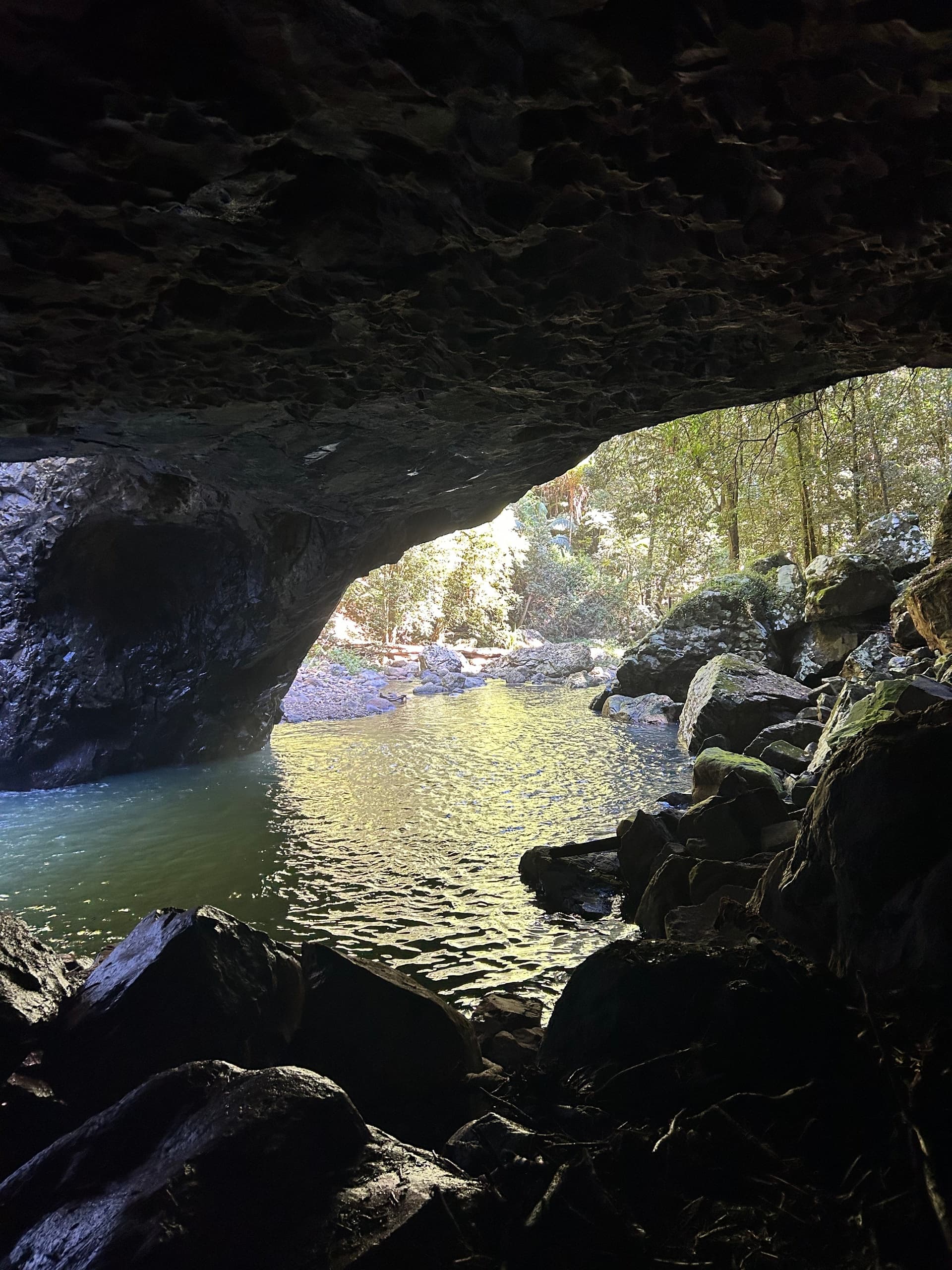 Springbrook & Natural Bridge: Rainforest Waterfalls Day Tour from Gold Coast photo 2