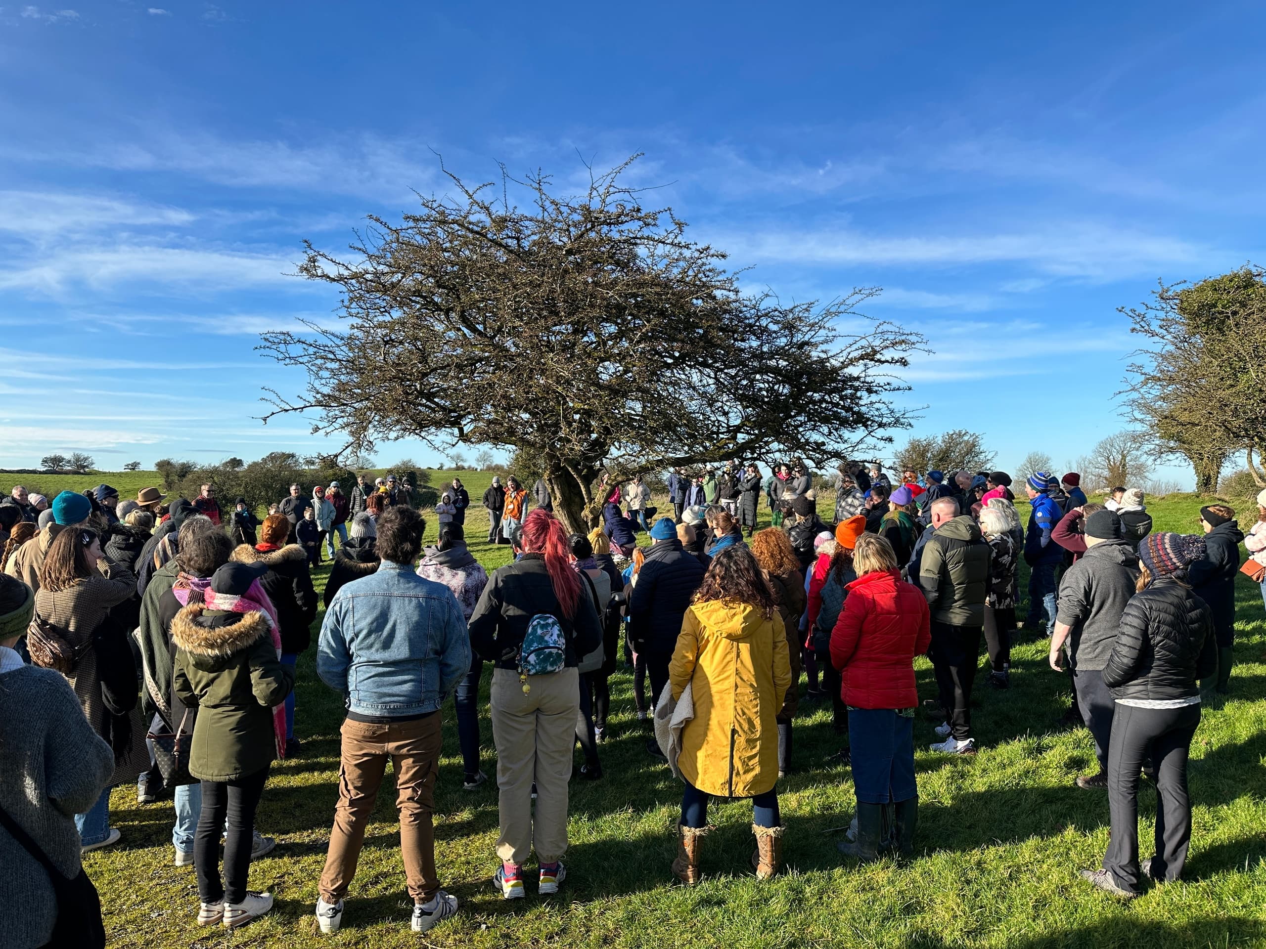 Group hiking meetup in grassy field by lone tree on clear day