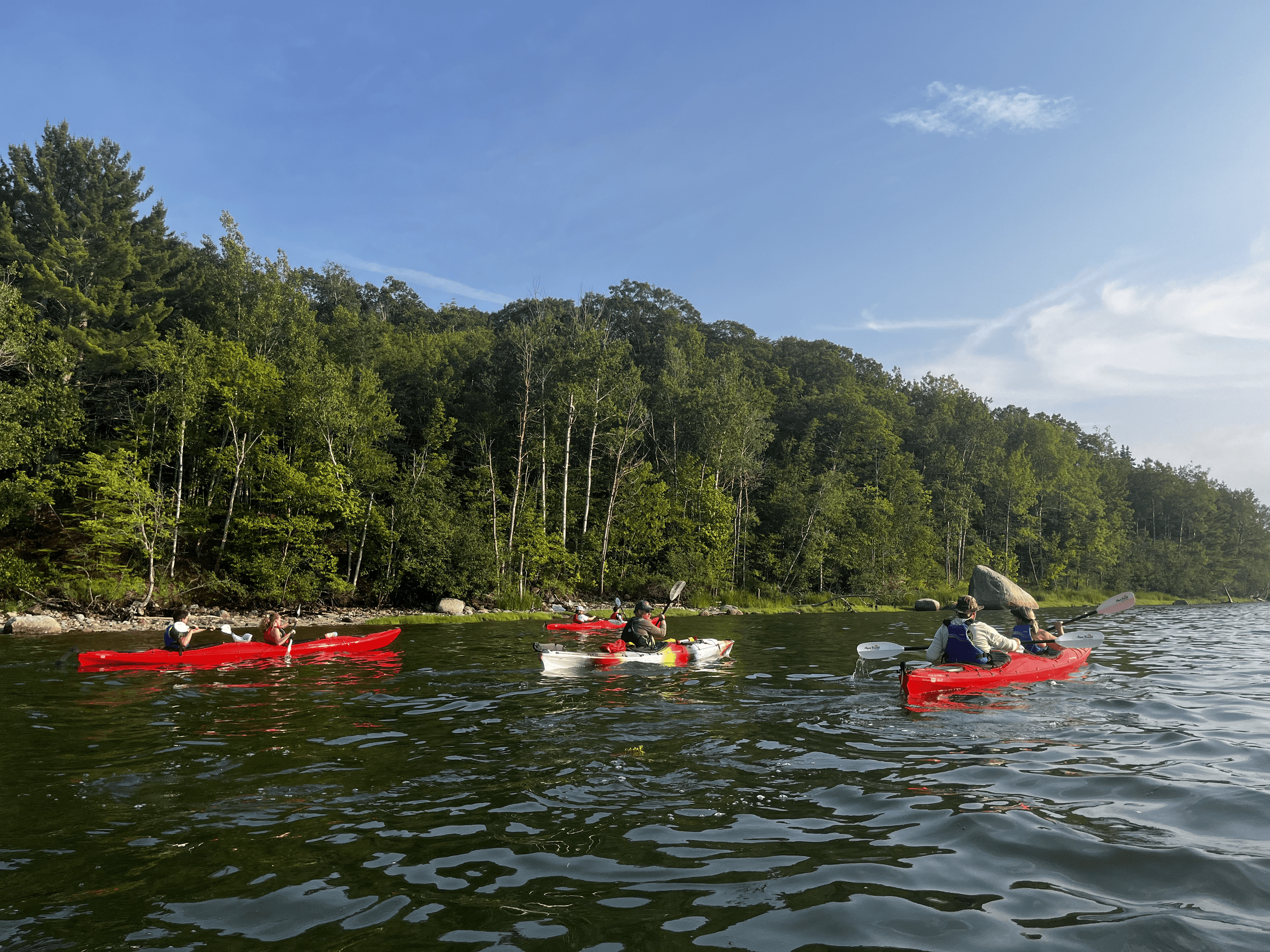 Acadia Sea Kayaking Adventures fleet