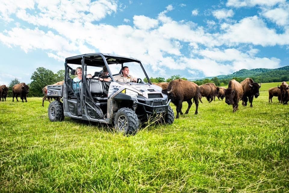 Eureka Springs Safari Park fleet