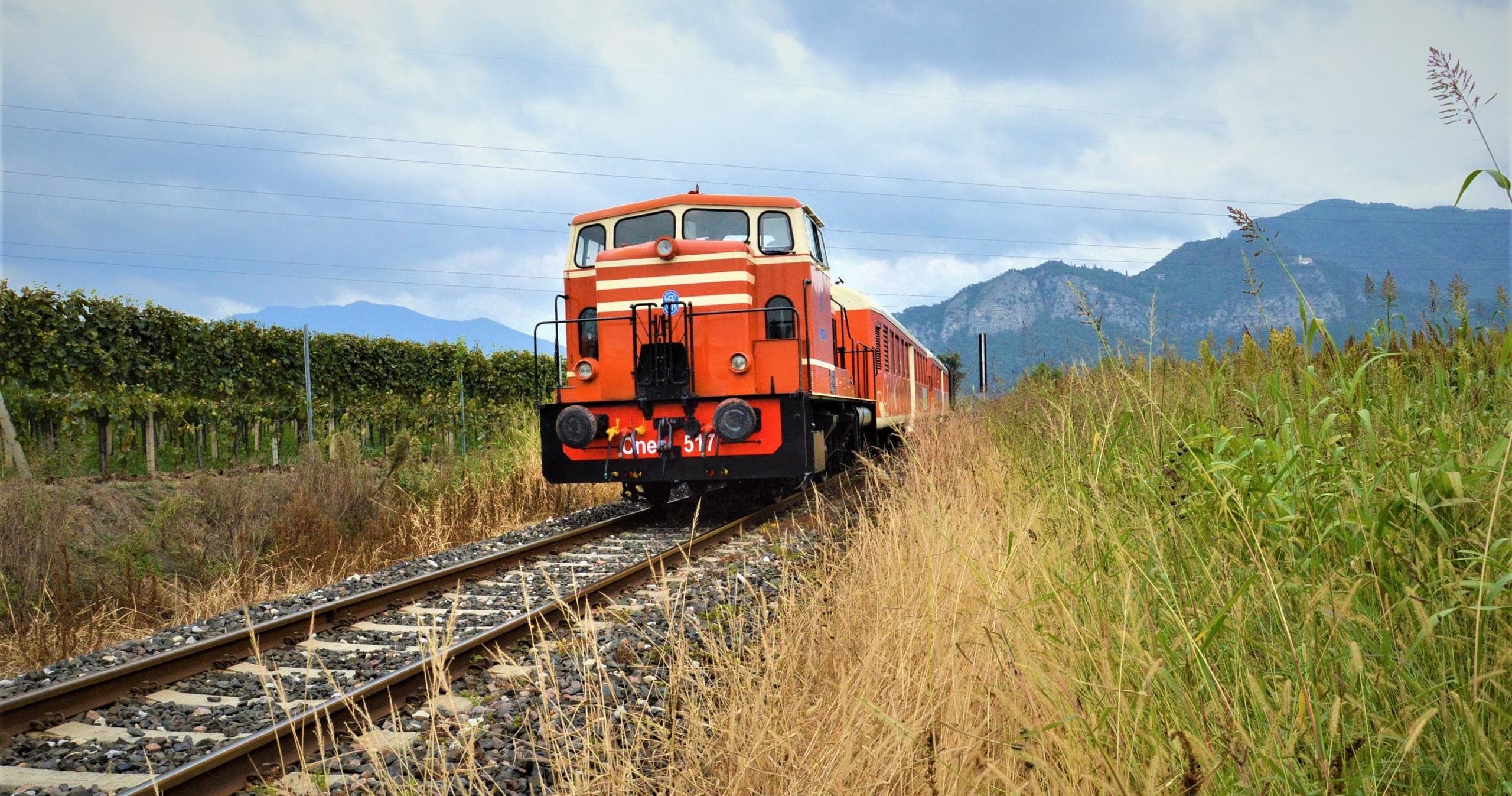 CTA Section Background Image