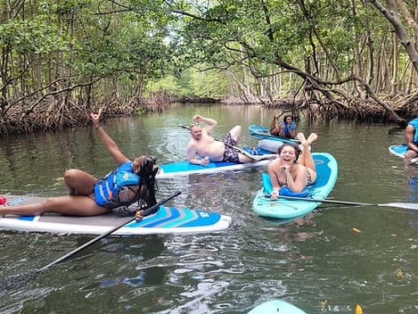 Mangrove Jungle Exploration on SUP and Kayak in Miami Beach: A Unique Paddle Adventure