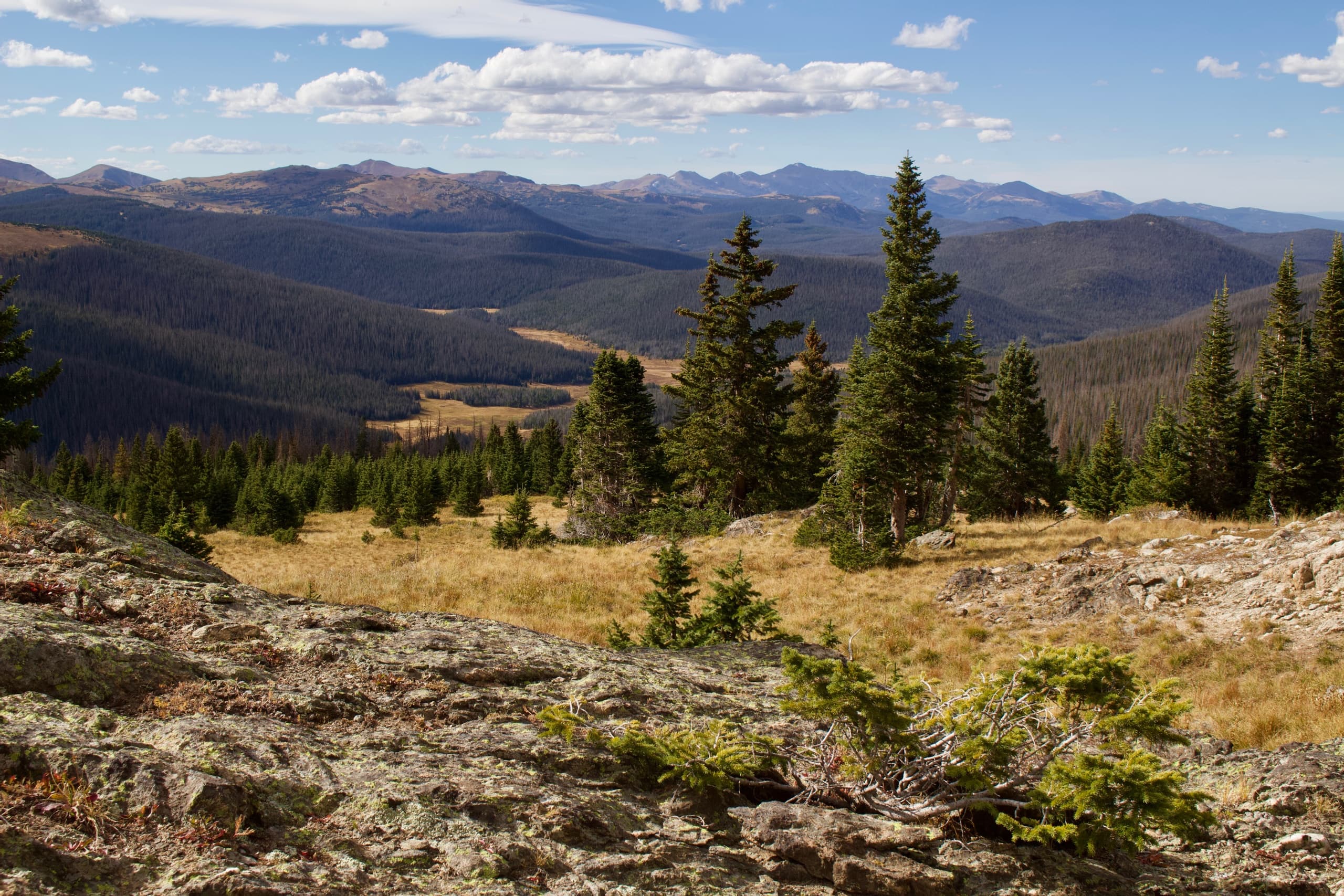 Subalpine meadow with distant peaks, backpacking and camping landscape