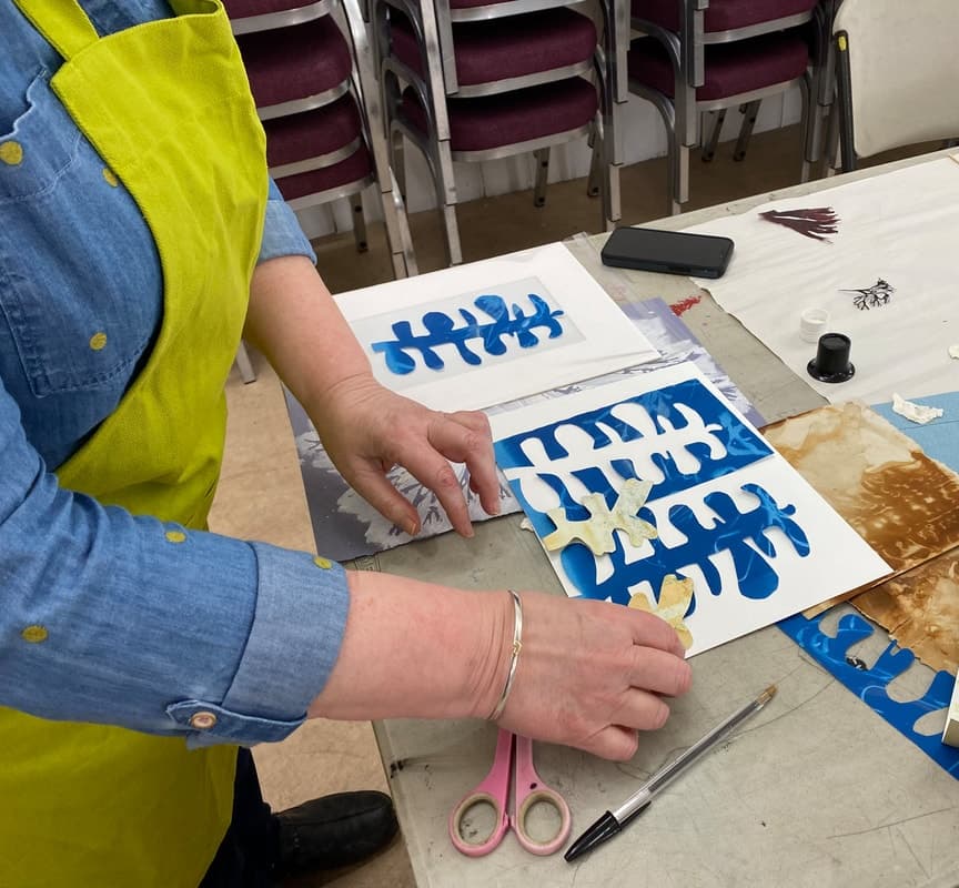 Seaweed Workshop at Fife Seaweed Fest – Creative Water Activities