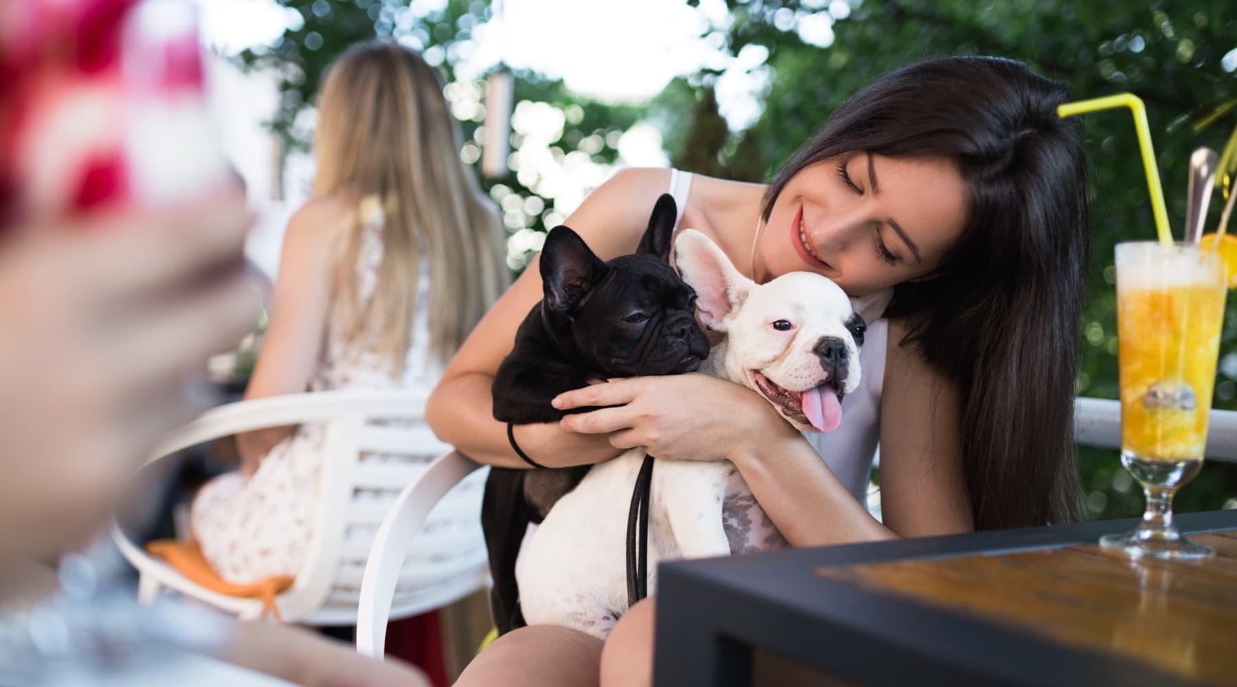Dog-Friendly Food & Art Tour with Hollywood Florida Food Tour