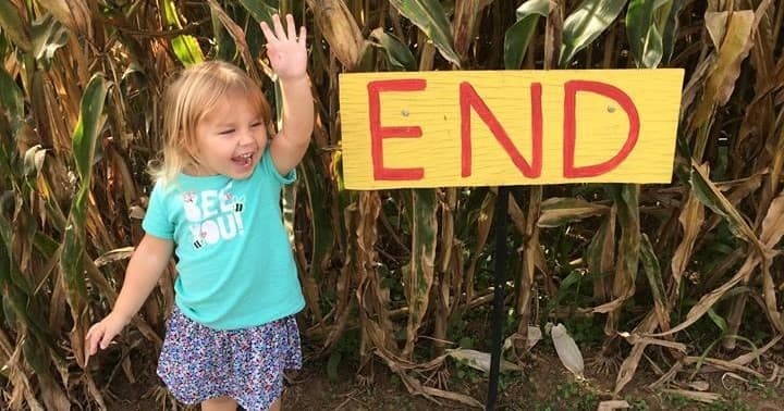 Farm Field Trips at Devine's Corn Maze and Pumpkin Patch