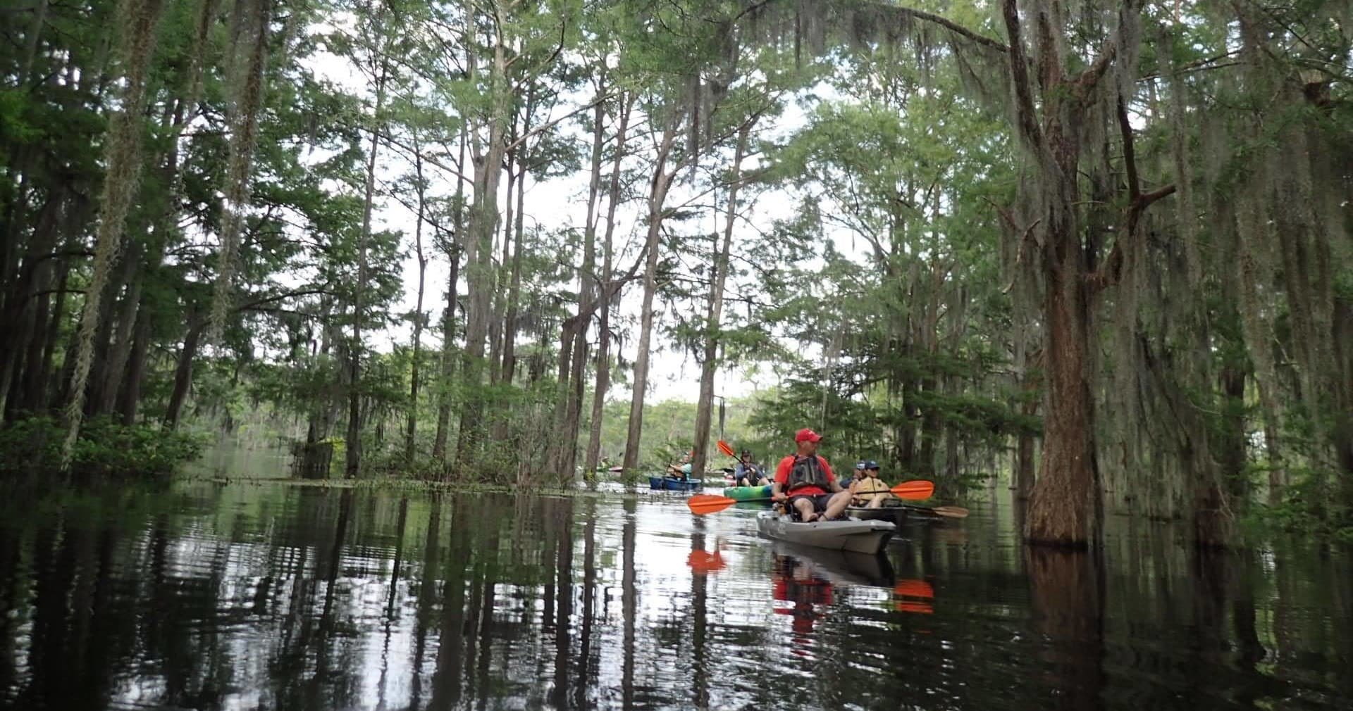 Group kayaking through narrow cypress tunnel with reflections