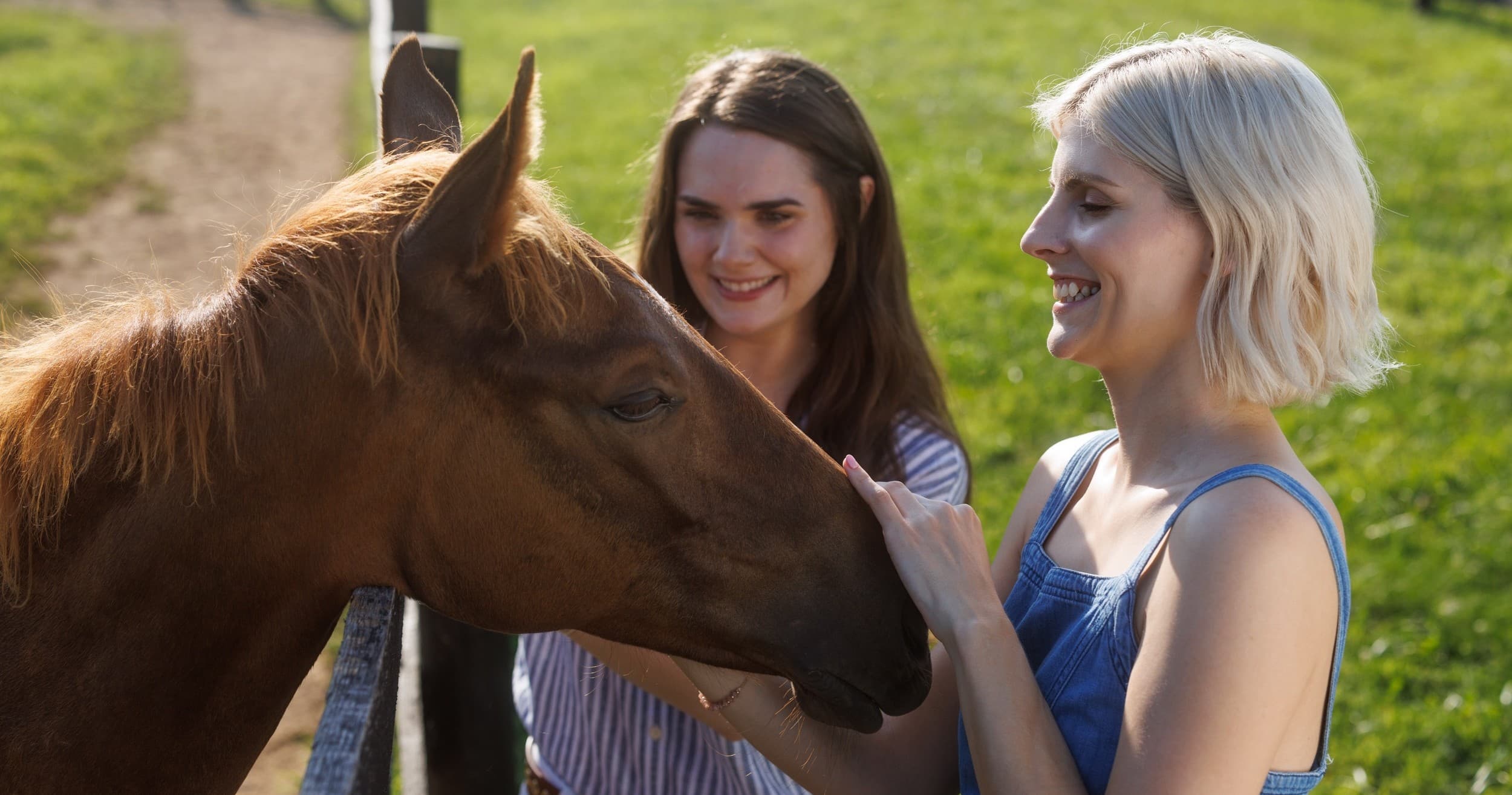 Explore Buffalo Trace Distillery with Complimentary Buffalo Bus from Downtown Lexington