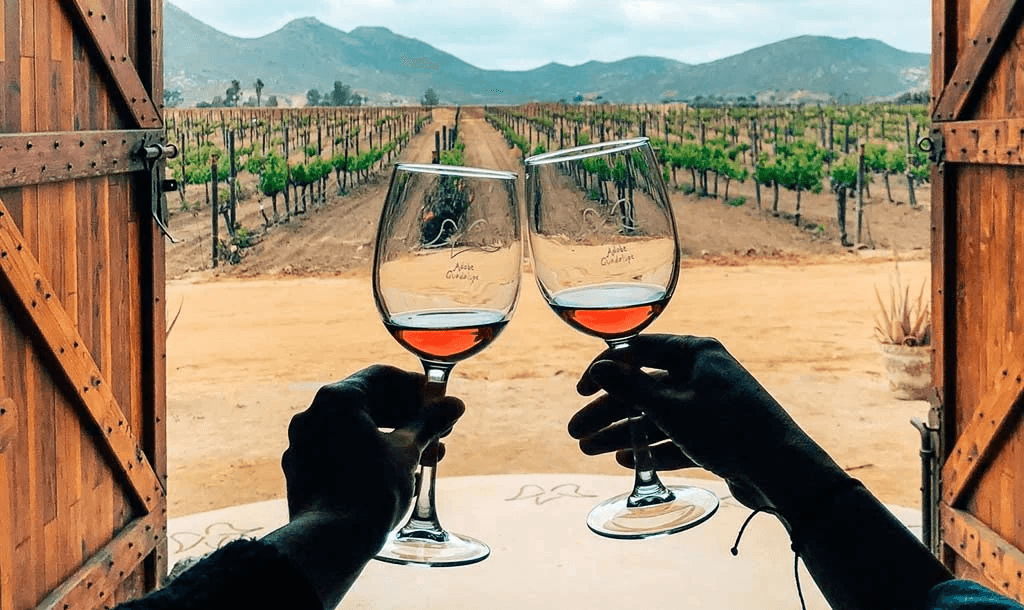 Exploring Baja California’s Wine Valleys: A 4-Day Immersive Wine and Culinary Adventure