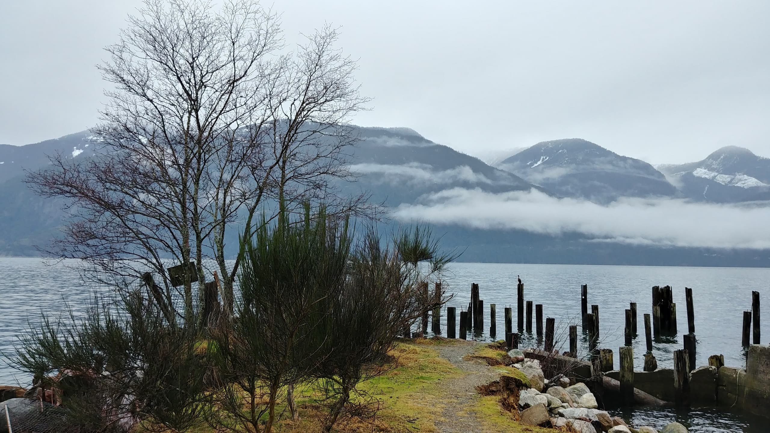 Misty lakeshore with old pilings and mountain views, Pacific Northwest