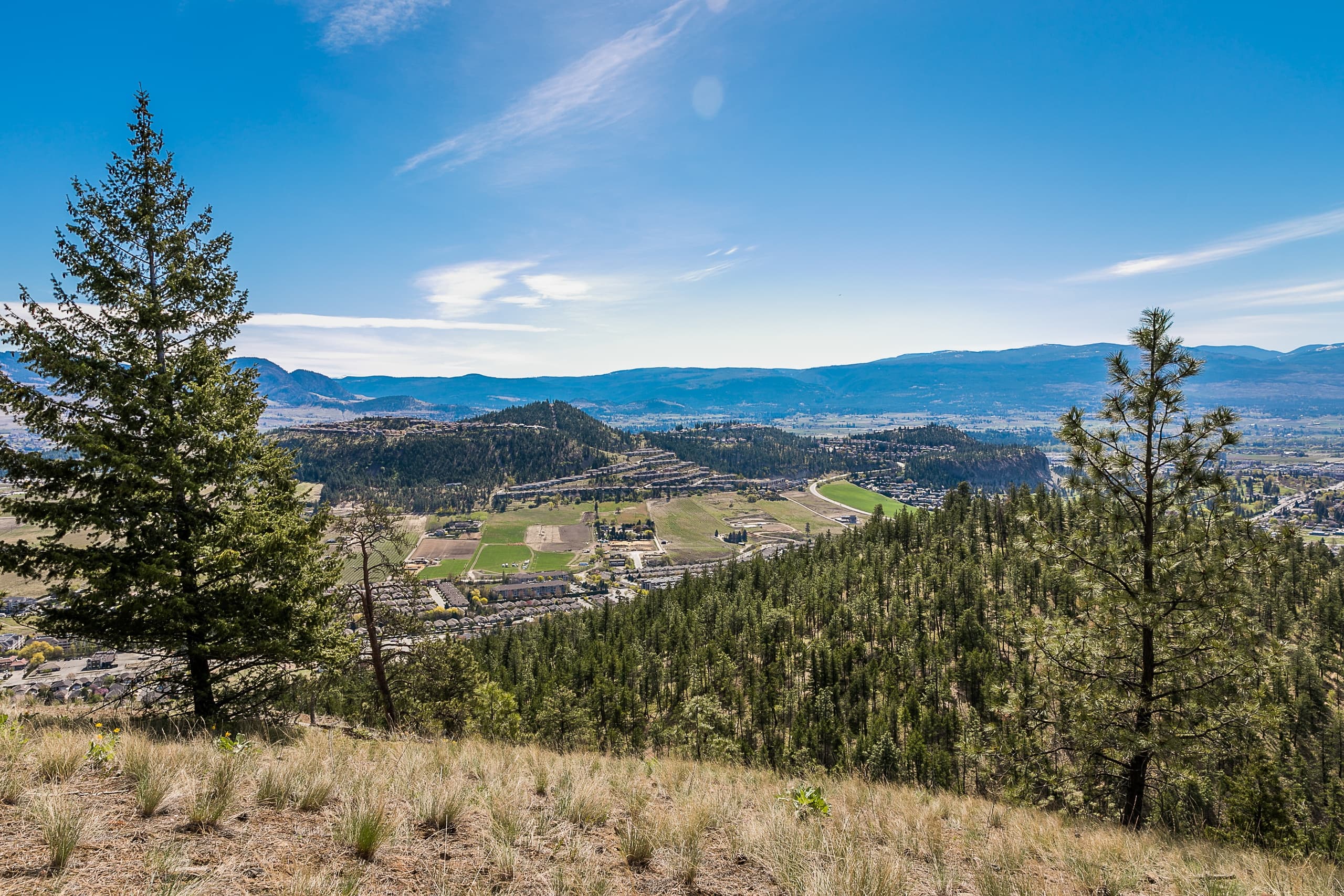 Knox Mountain Hiking Tour: Okanagan Lake Views & Wildflowers in Kelowna photo 3