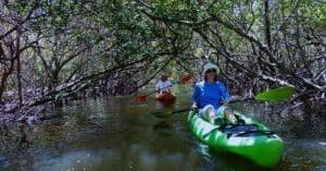 Kayak Tandem Trip with Ultimate Kayak SRQ in Sarasota