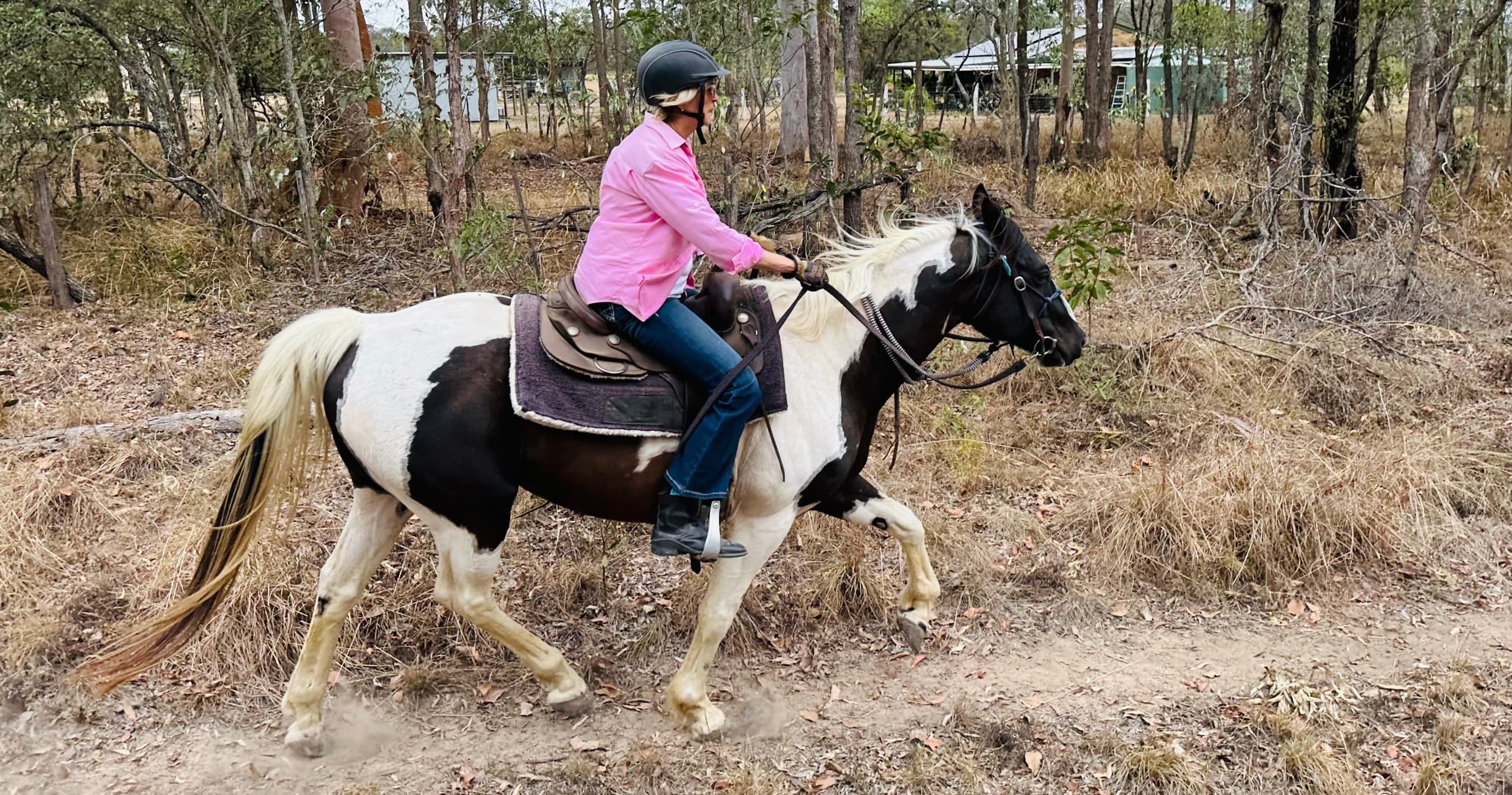 Horseback Riding & Scenic Pub Tour at Nash Horse Trekking
