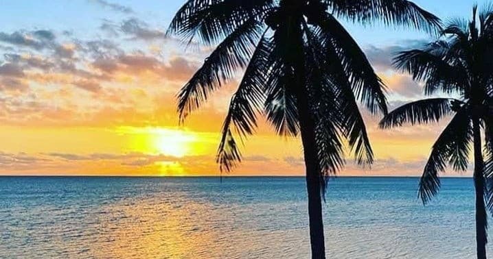 Sunset with palm silhouettes on tropical coastline, serene beach view