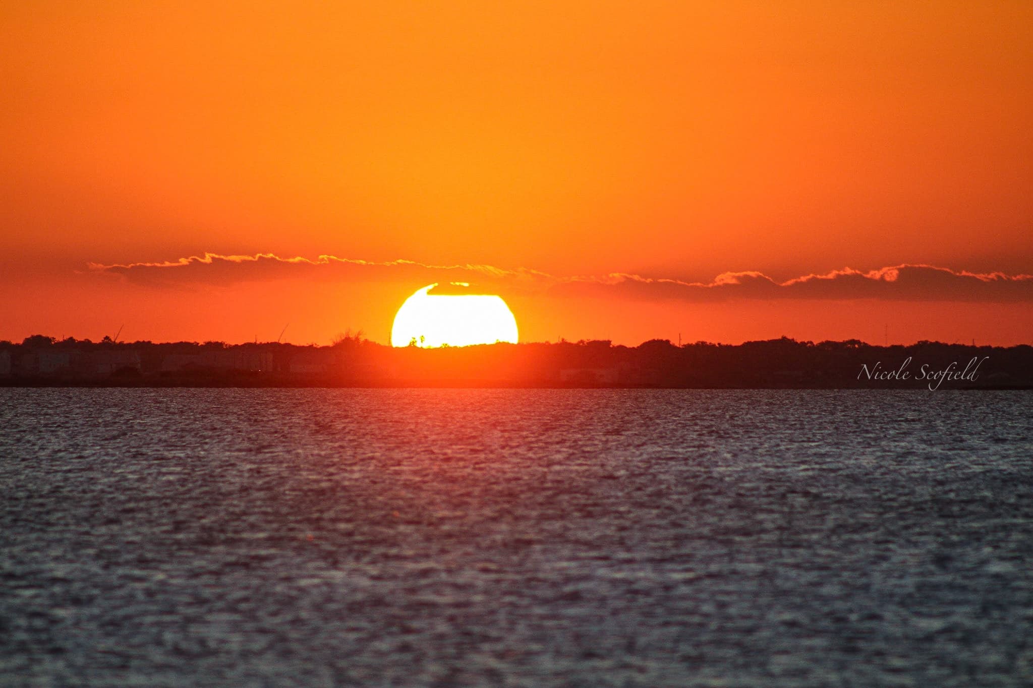 Sunset Birding Cruise from Snoopy's Pier: 1.5-Hour Corpus Christi Tour photo 1