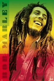 Blue Hole & Bob Marley Mausoleum: Ocho Rios Waterfall and Reggae Pilgrimage