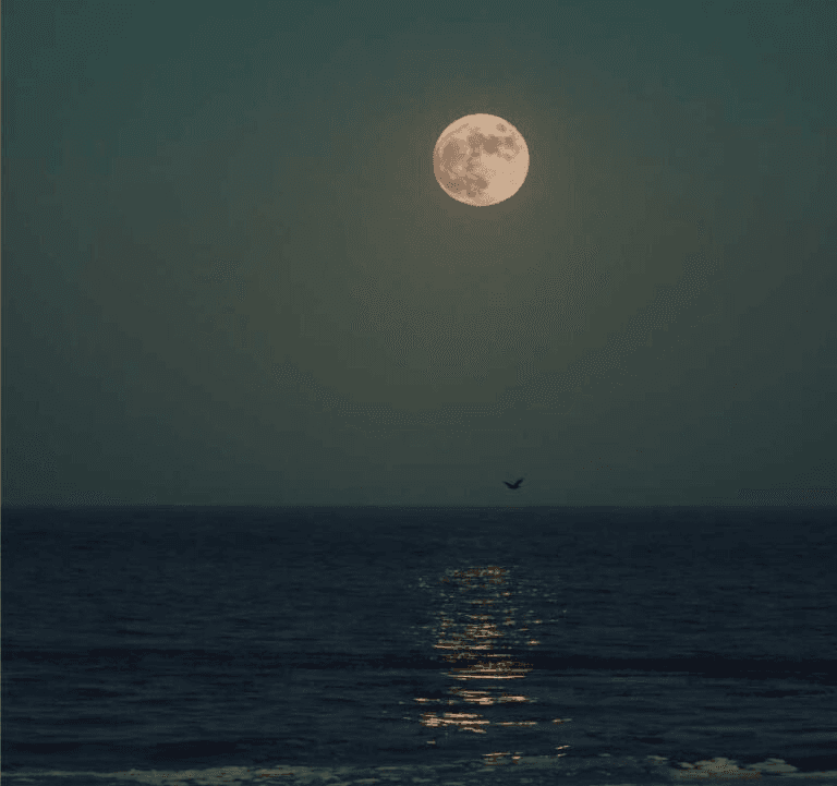 Full Moon Paddle Kayak Tour in Ganges, BC