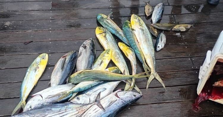 Fishing in Allen, Texas
