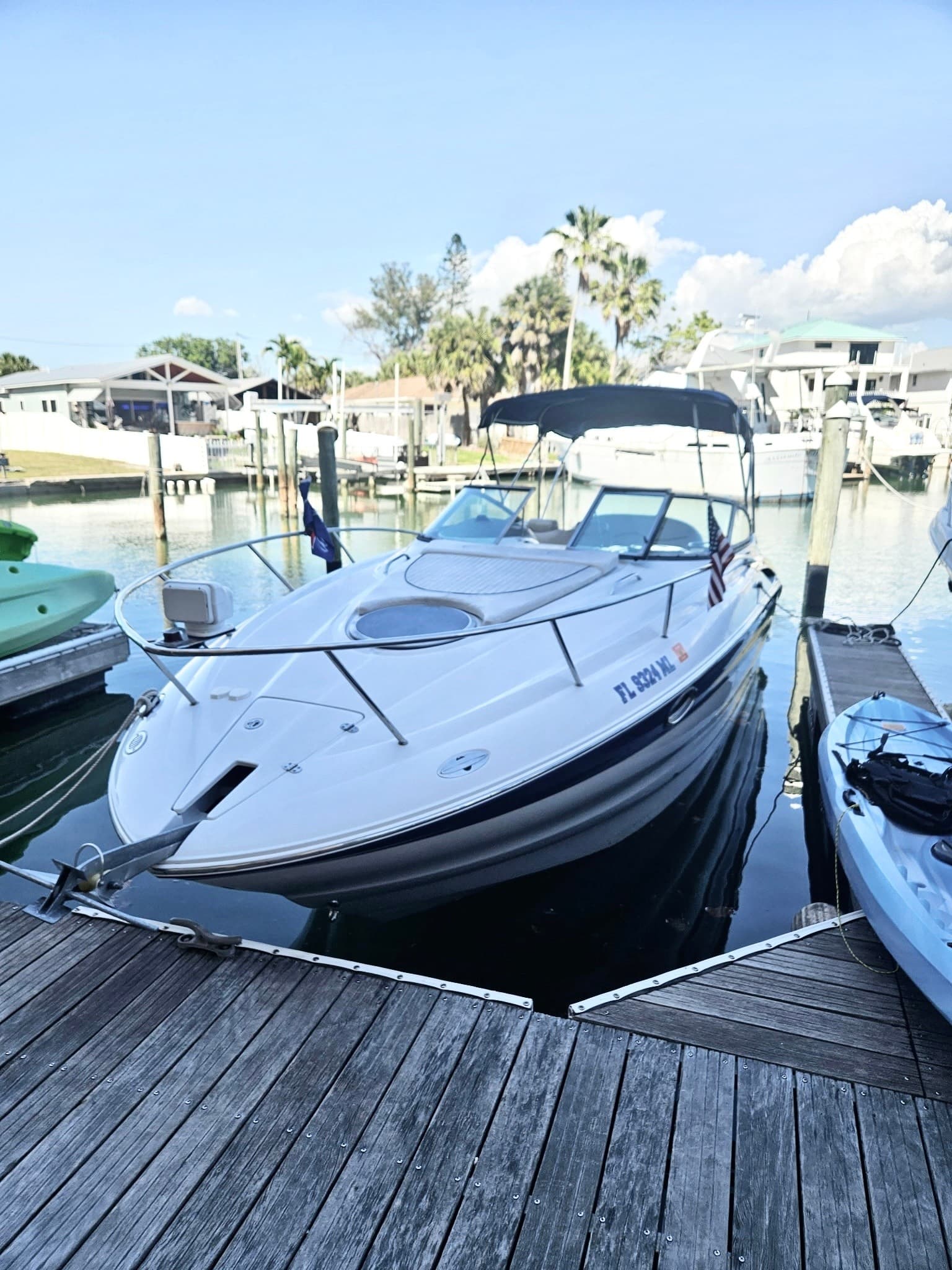 Madeira Beach Island Hopping: Shelling, Snorkeling & Dolphins Aboard a 27' Cabin Cruiser photo 4