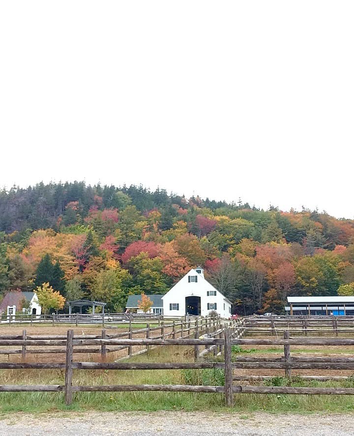 Acadia by Carriage team