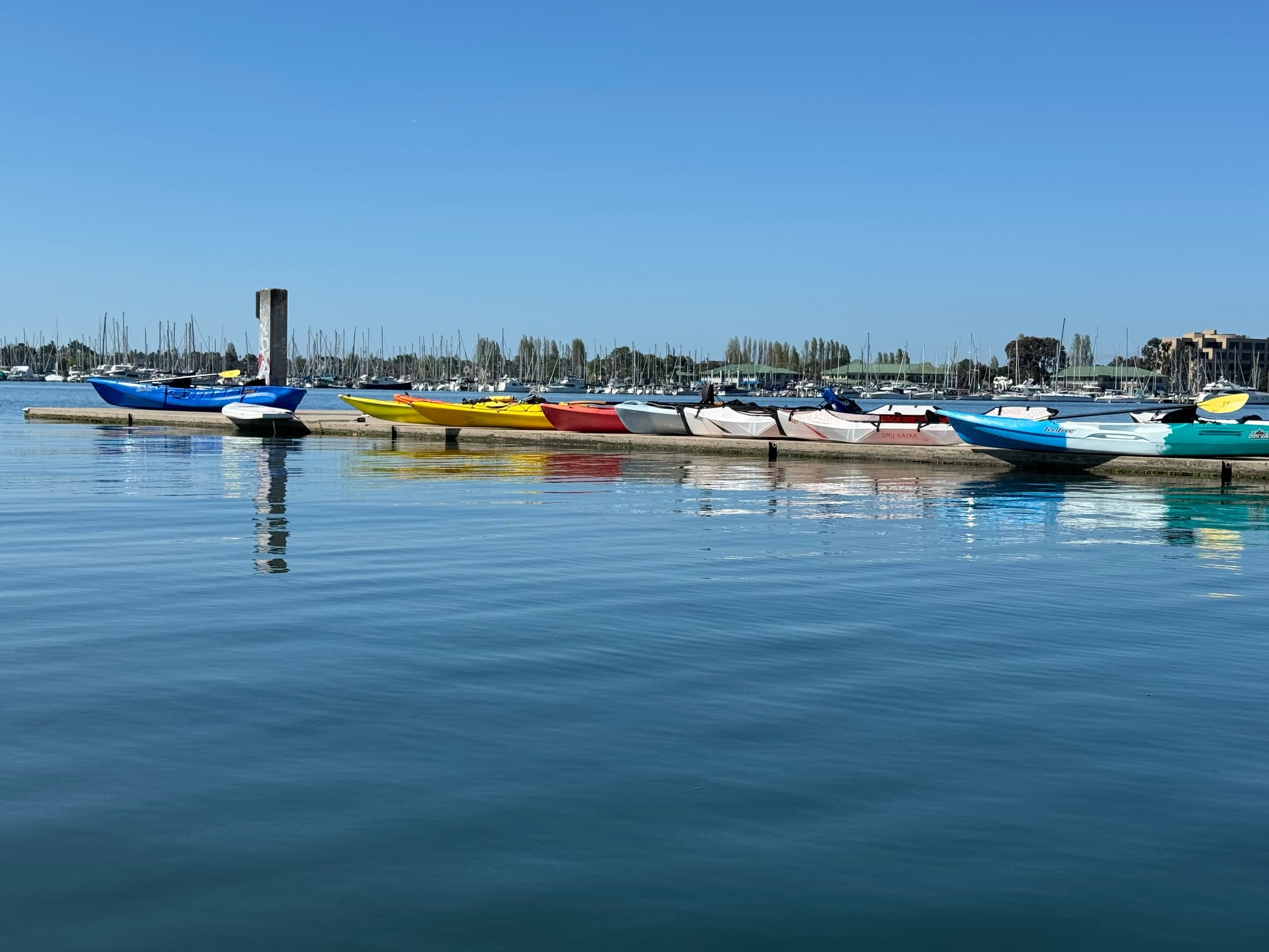 Discover Oakland Estuary with California Canoe & Kayak