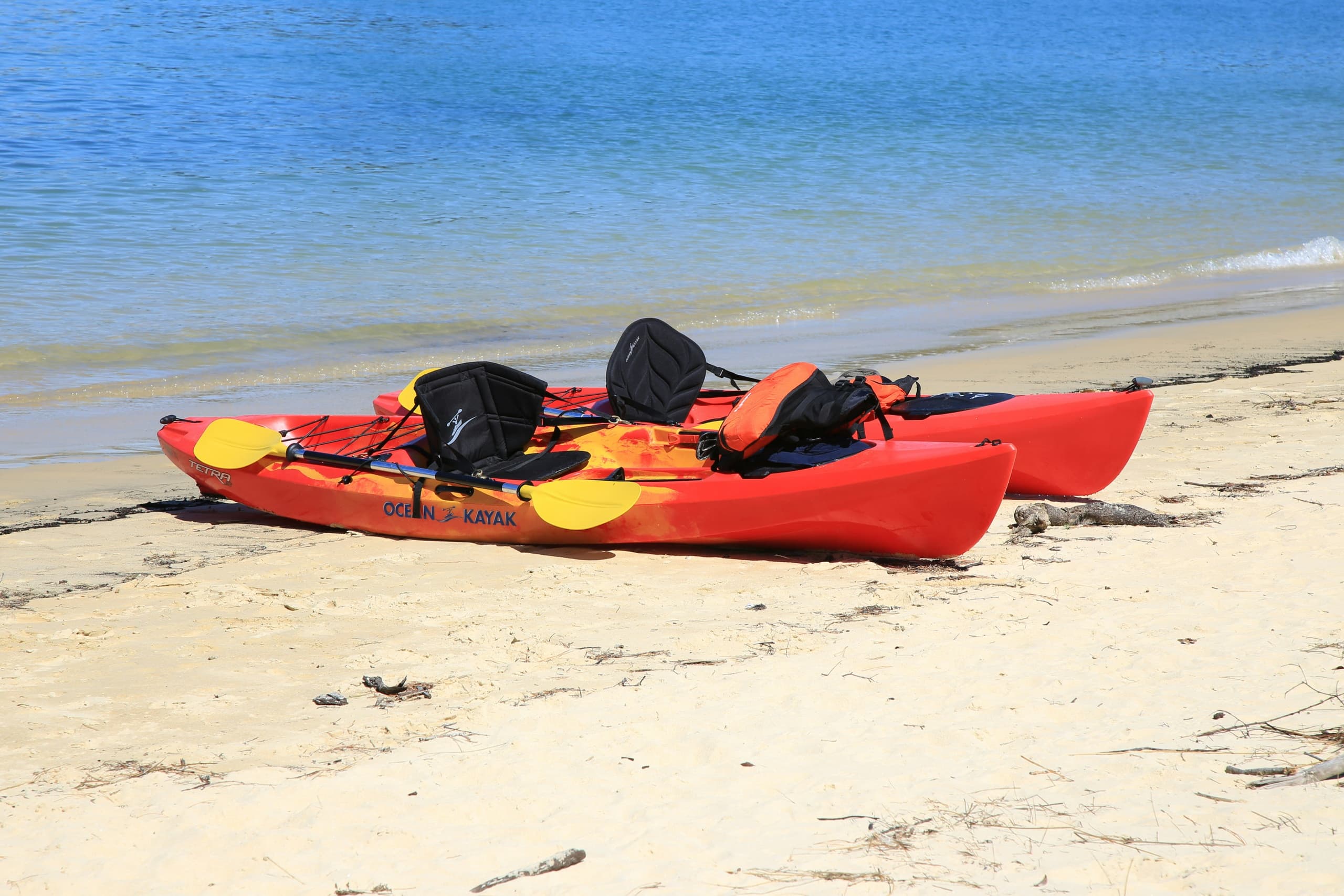 Two red kayaks resting on sandy shore ready for coastal paddling