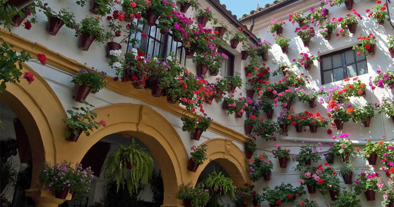 Córdoba Patios Tour with Artencordoba