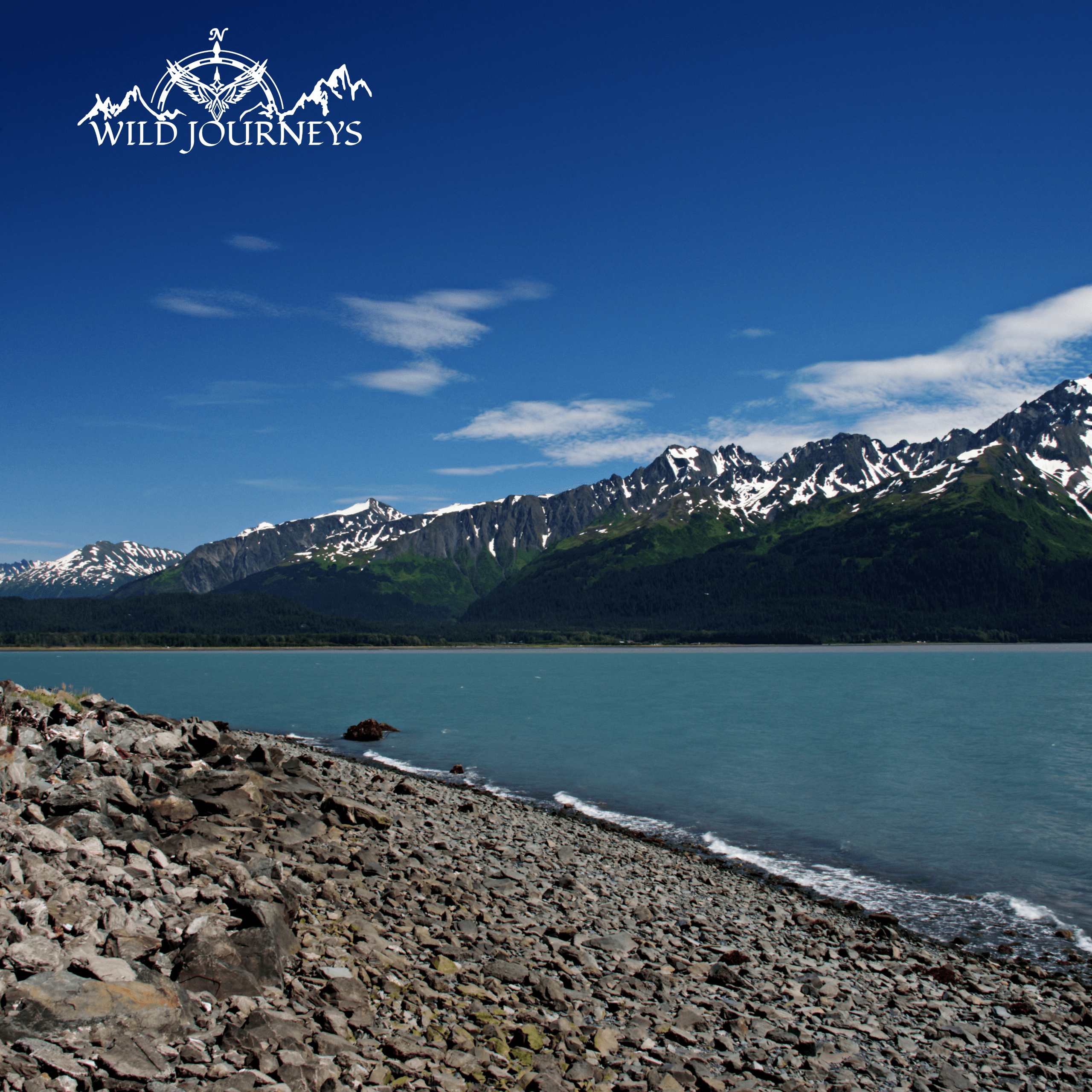Private Transfer Tour with Wild Journeys Alaska: Seward to Anchorage Journey