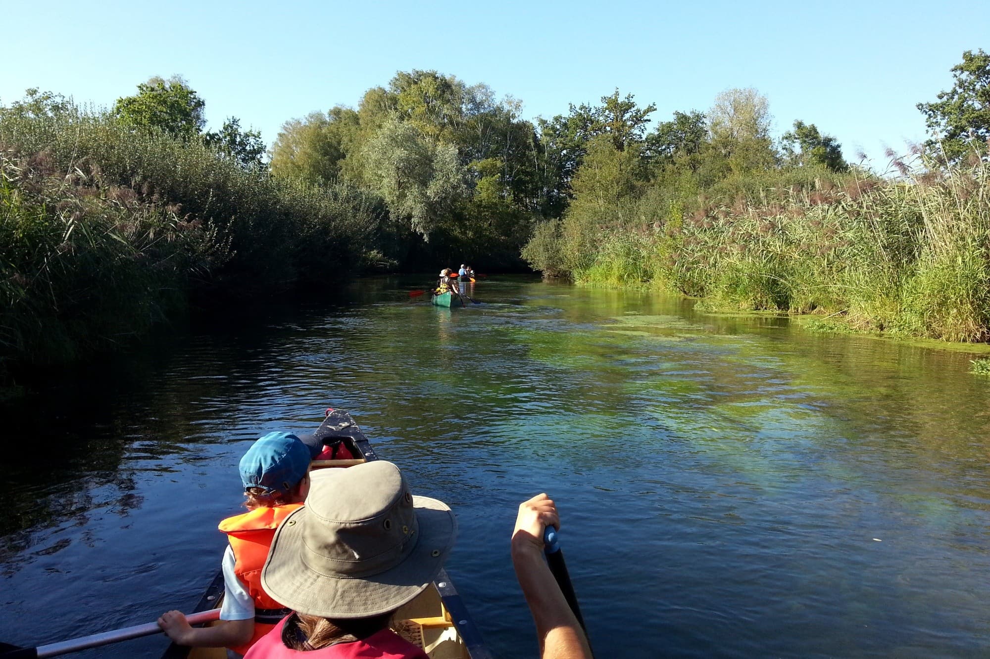 Canoe the Ill River: Guided Paddling through Alsace's Floodplains photo 2