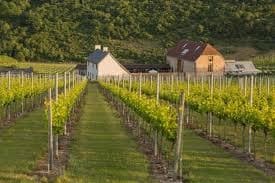 Sussex Wine Tour with Cannonball Bikes near Brighton