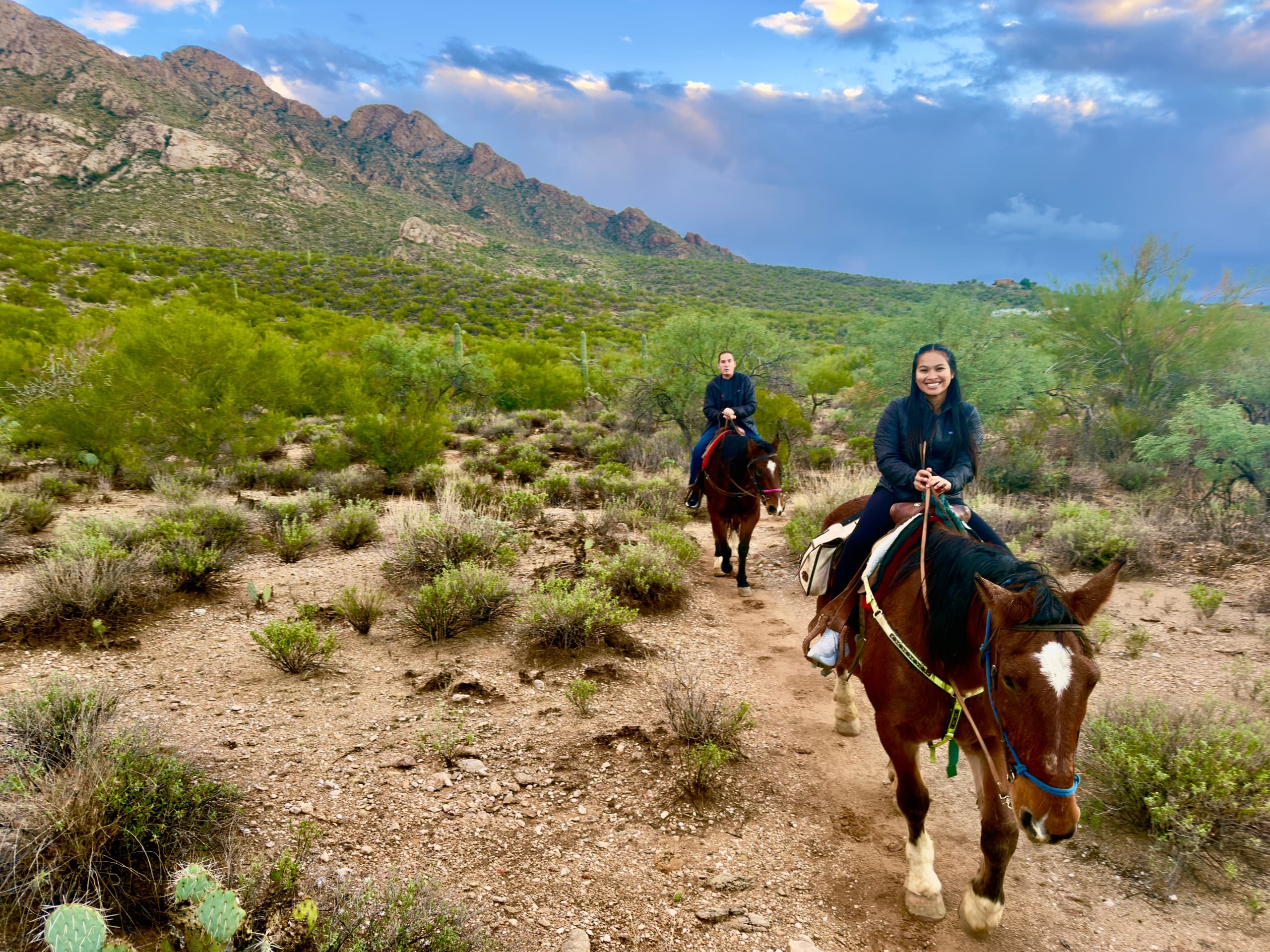 Slow Ride Through the Sonoran: 1.5-Hour Horseback Adventure in Tucson