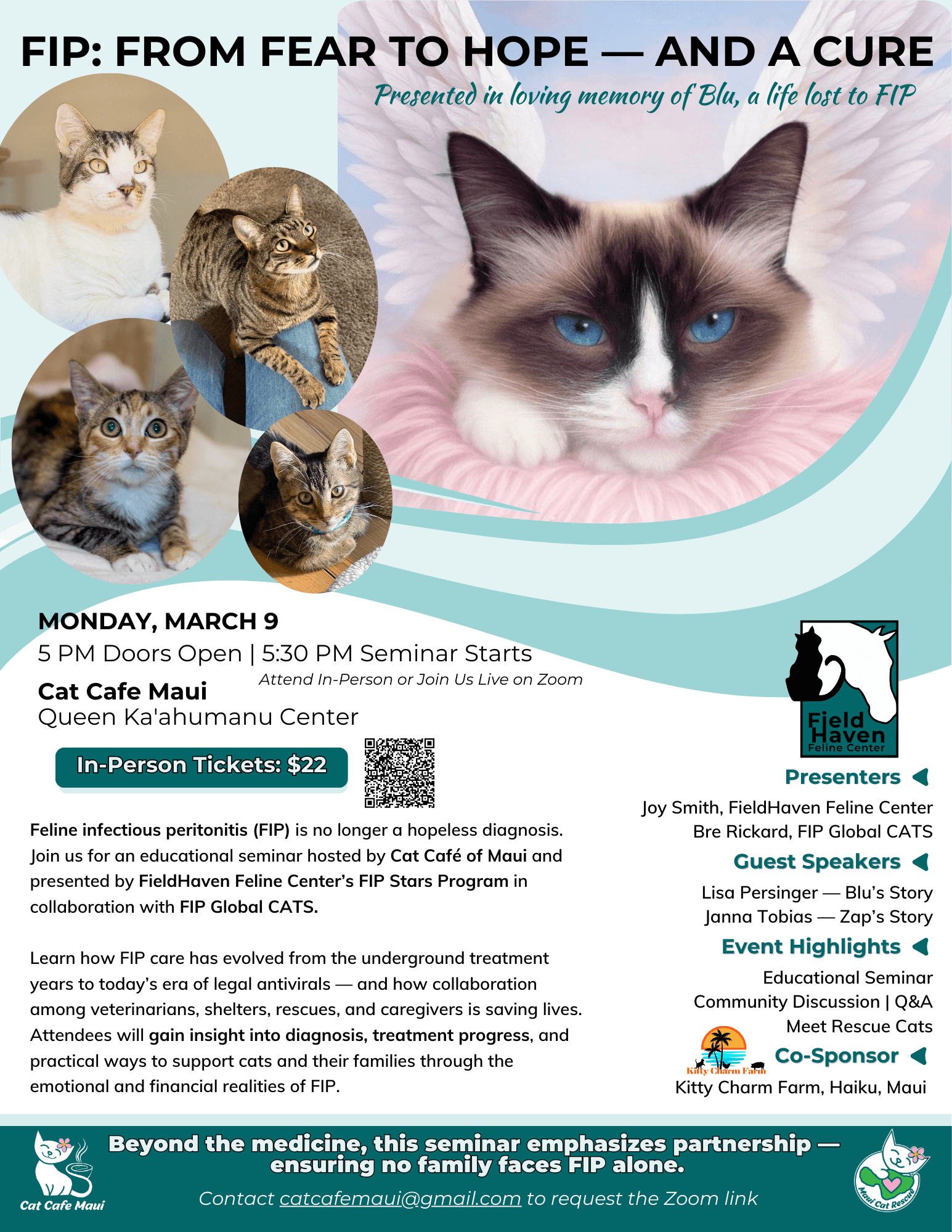 FIP Awareness Event at Cat Café Maui: Treatment, Support & Community in Kahului