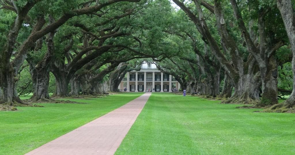 Land Adventures at Oak Alley & Swamp Tour in Louisiana
