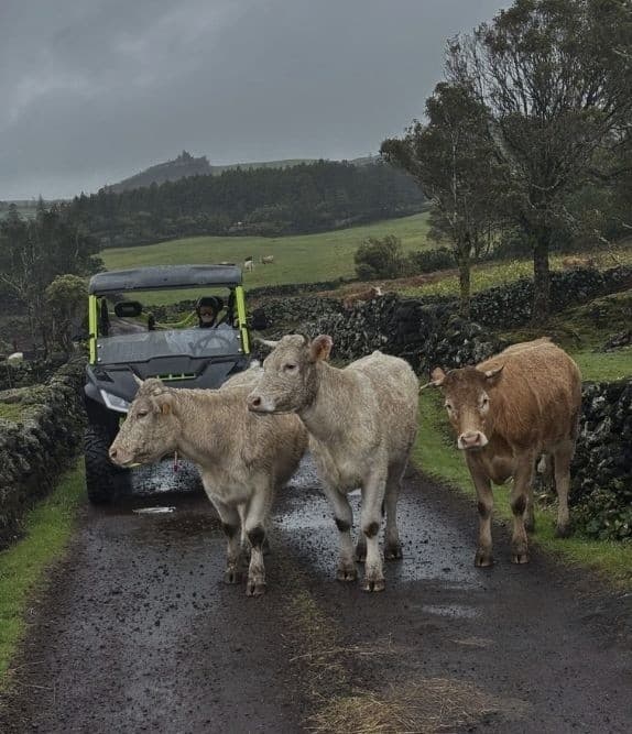 Azores Buggy to the Farm: Vaquinhas Felizes Off-Road Pasture Tour in Madalena