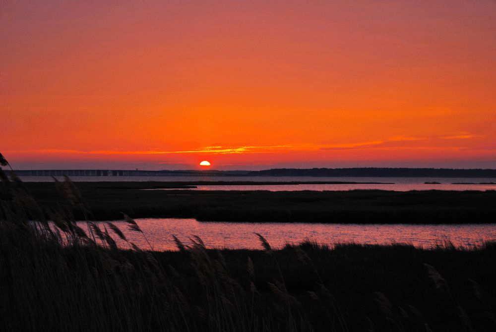 Vivid red marsh sunset across coastal wetlands horizon