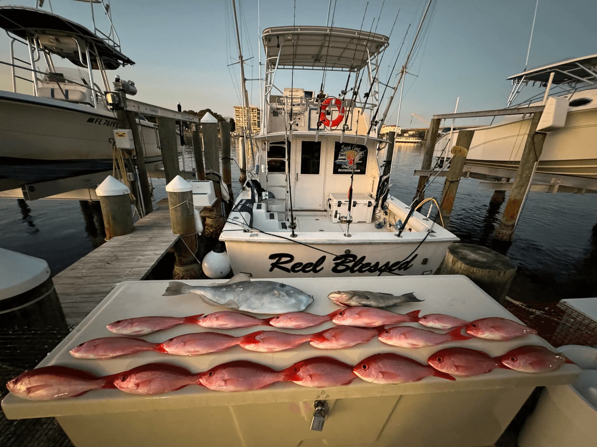 Offshore Bottom Fishing and Trolling | Fishing in Okaloosa Island, Florida photo 1
