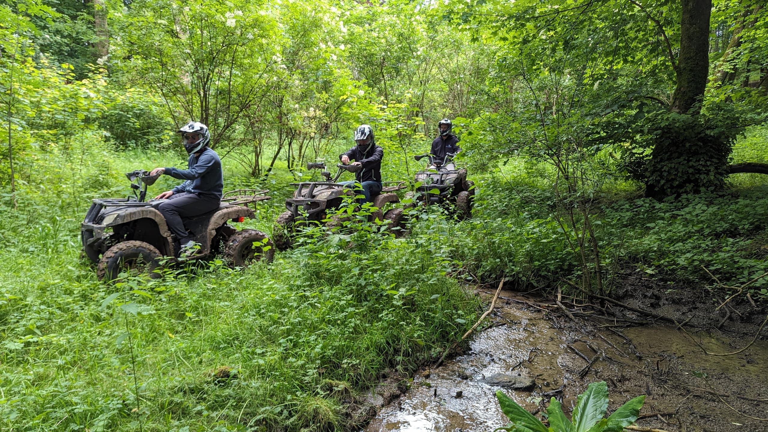 Offroad quad riders crossing shallow forest stream on lush green trail