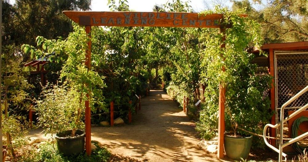 Wildlife Learning Center: A Nature Encounter in [Location]