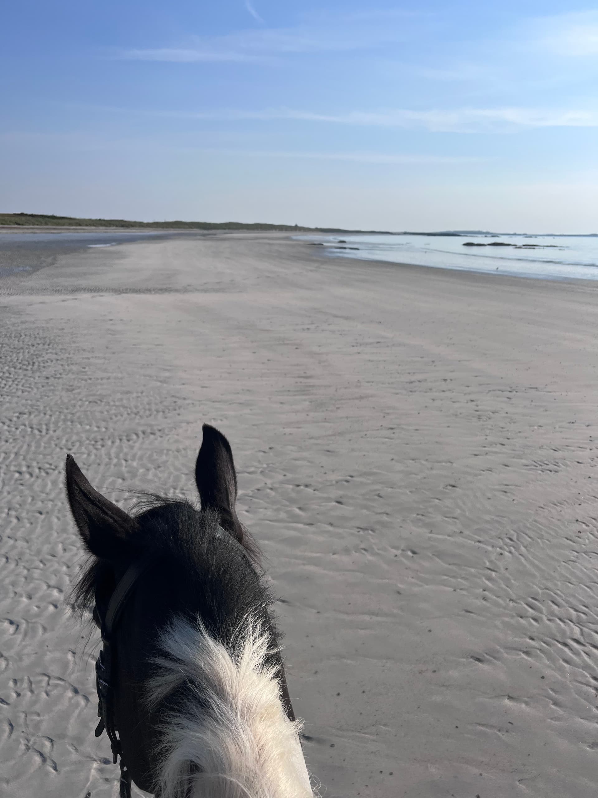 Beach Horseback Riding with Tiree Equestrian