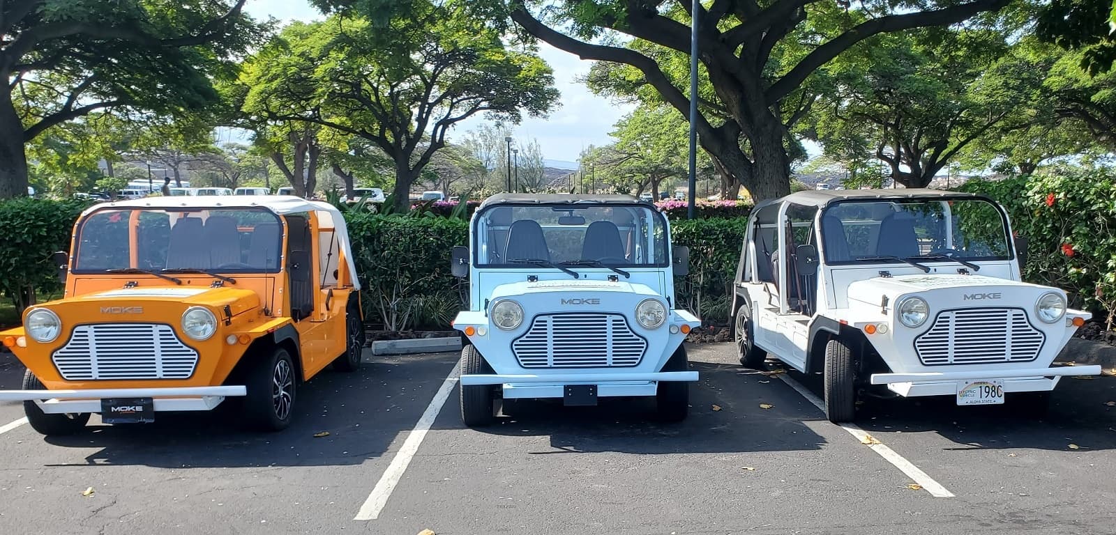 WAIKOLOA RESORT Electric Vehicle Tour with Big Island Motorcycle Company