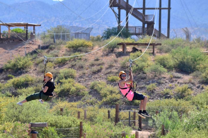 Predator Zip Lines fleet