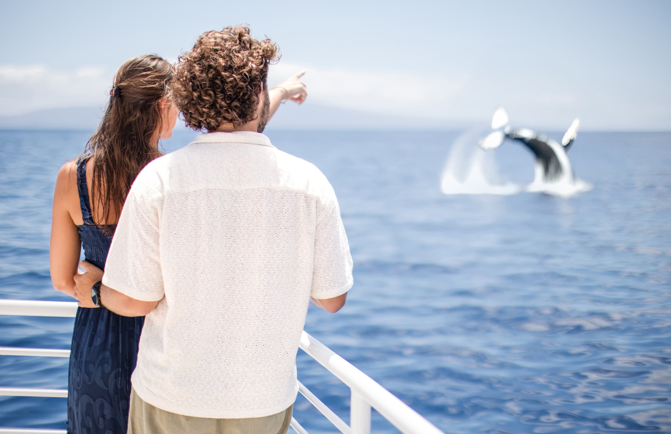 Luxury Catamaran Whale Watch from Maalaea Harbor — Maui Humpback Cruises photo 1