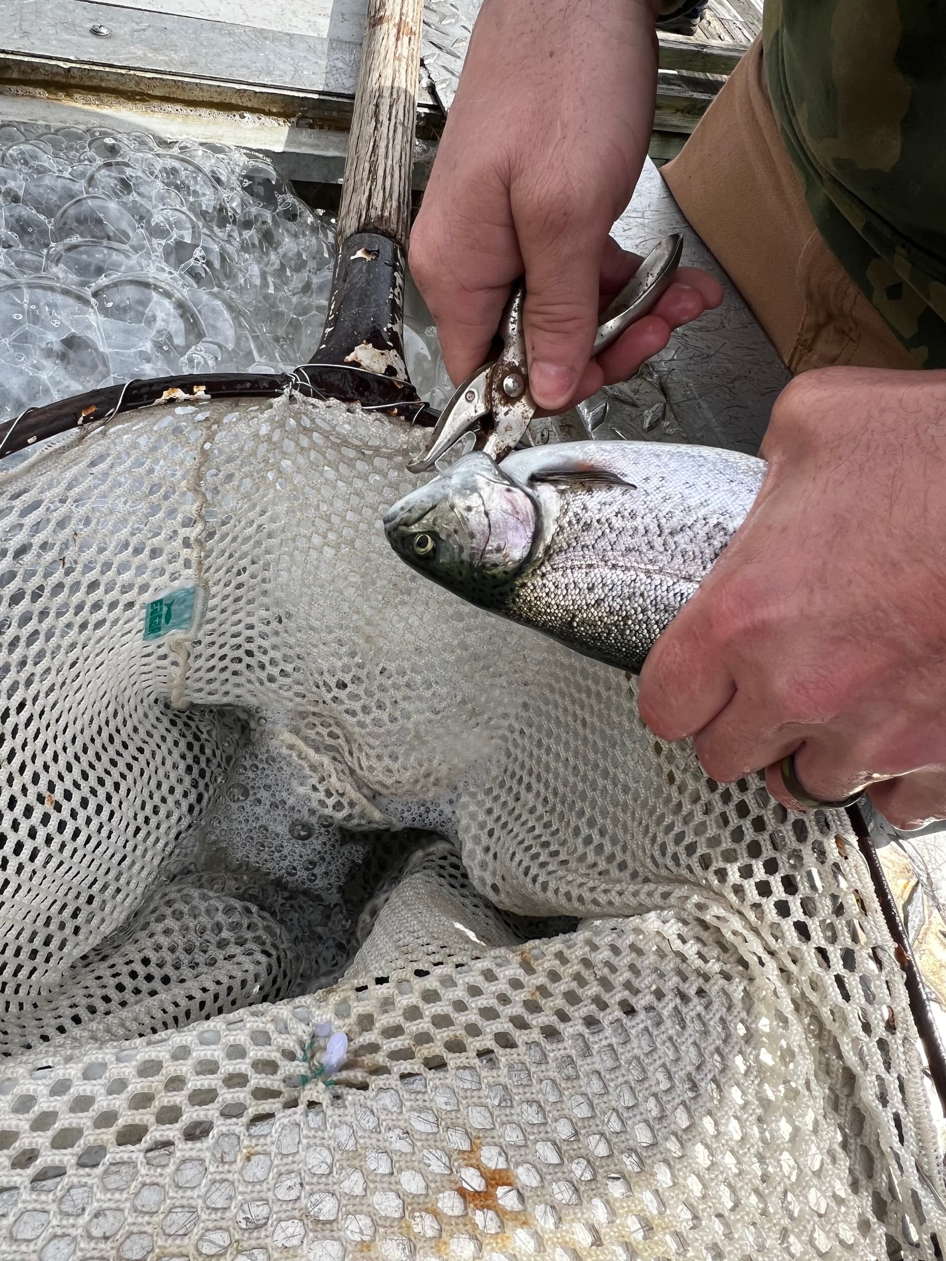 Fishing & Angling at Omni Bedford Springs Resort