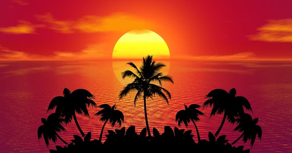 Tropical sunset with palm silhouettes over calm ocean beach
